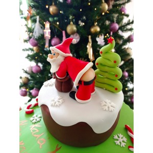 Funny Santa Claus cake