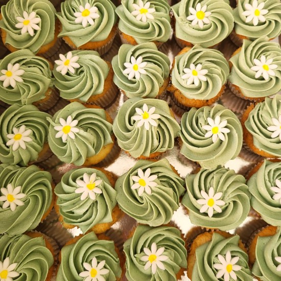 cupcakes daisies