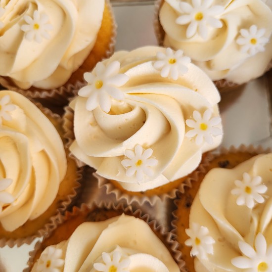 cupcakes daisies