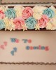 mini cake gender reveal 