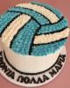 volley ball cake