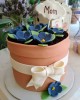 flower pot cake