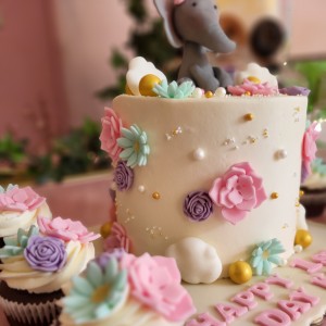 elephant girl cake