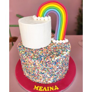 rainbow cake - 2 tier