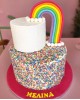 rainbow cake - 2 tier